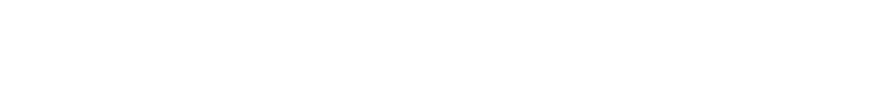 Логотип (белый)